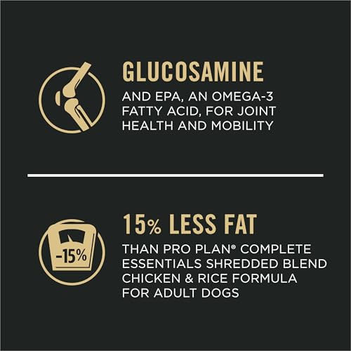 Does Senior Dog Food Help With Weight Loss: Insights from Experts Does Senior Dog Food Help With Weight Loss: Insights from Experts