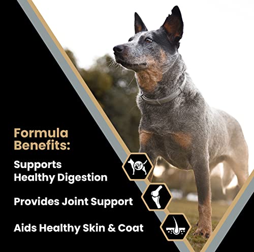 Does Senior Dog Food Have Glucosamine: What You Need to Know Does Senior Dog Food Have Glucosamine: What You Need to Know