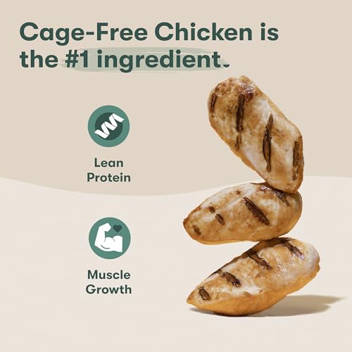 Is Grain Free Senior Dog Food Good: What Most Buyers Actually Choose Is Grain Free Senior Dog Food Good: What Most Buyers Actually Choose