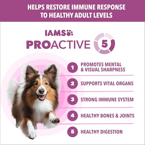 Is Senior Dog Food Better For Older Dogs: What Experts Recommend