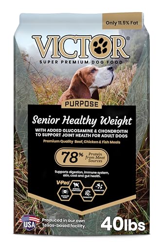 Victor Senior Dog Food Reviews: What Most Buyers Actually Choose
